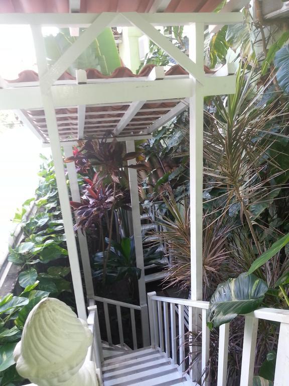 Hotel Pousada Papaya Verde Salvador da Bahia Dış mekan fotoğraf