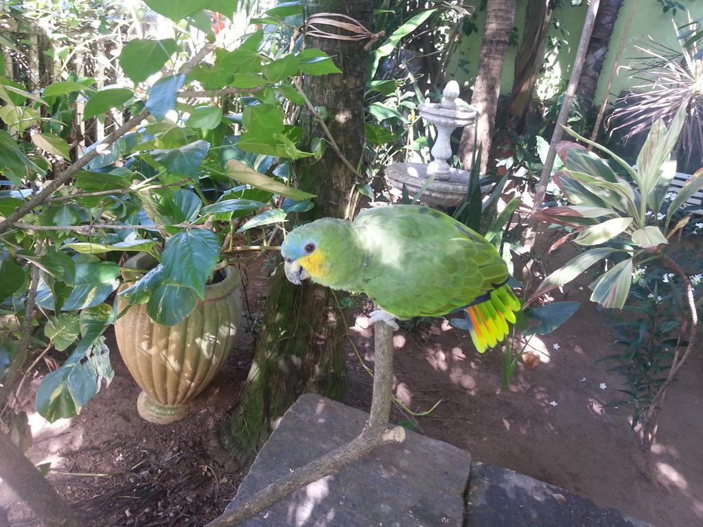 Hotel Pousada Papaya Verde Salvador da Bahia Dış mekan fotoğraf