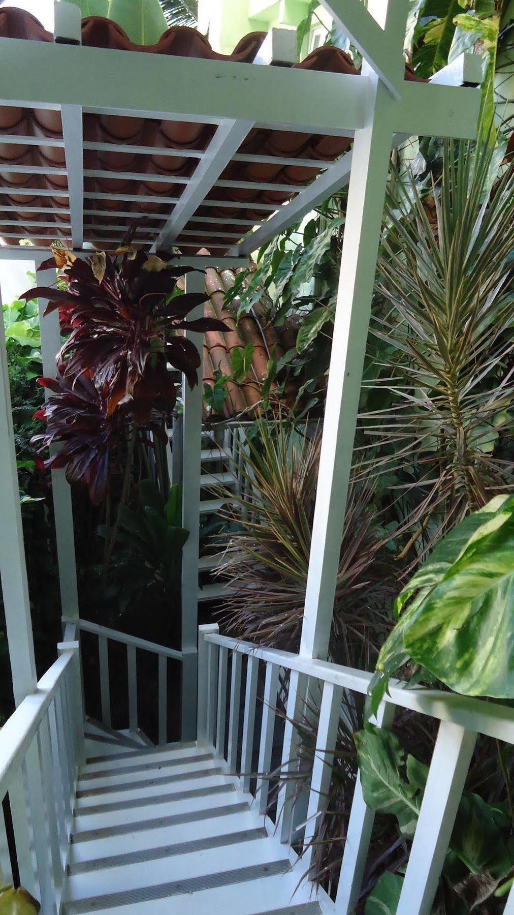 Hotel Pousada Papaya Verde Salvador da Bahia Dış mekan fotoğraf